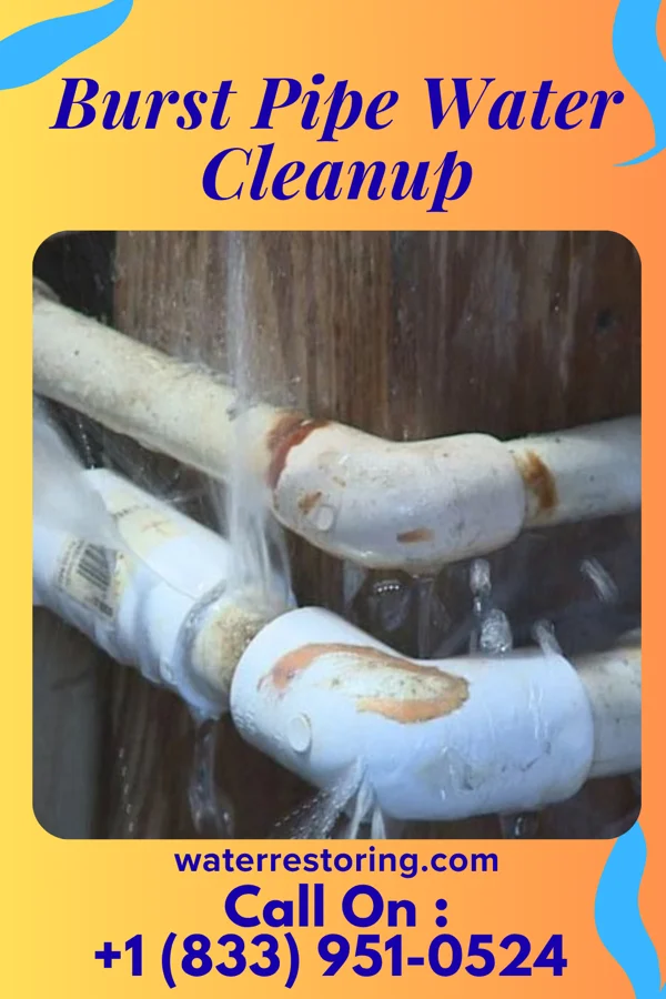 Burst Pipe Water Cleanup in Shelbyville, IL