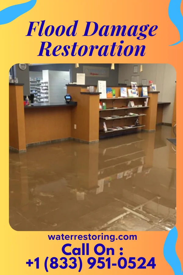 Flood Damage Restoration in Shelbyville, IL