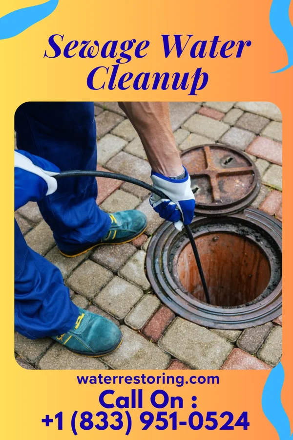 Sewage Water Cleanup in Shelbyville, IL