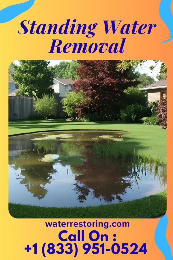 Standing Water Removal in Shelbyville, IL